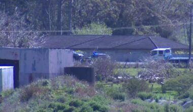 Critical injuries, road closed after 3-vehicle crash in Auckland’s north
