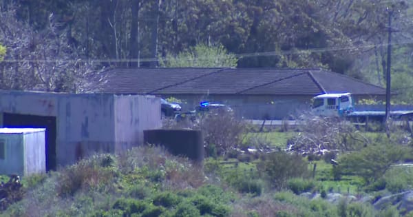 Critical injuries, road closed after 3-vehicle crash in Auckland’s north