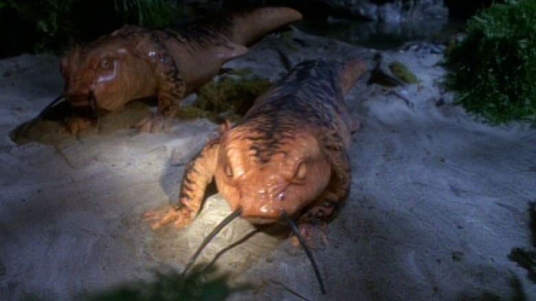 Two large salamanders sit in a swamp in Star Trek: Voyager