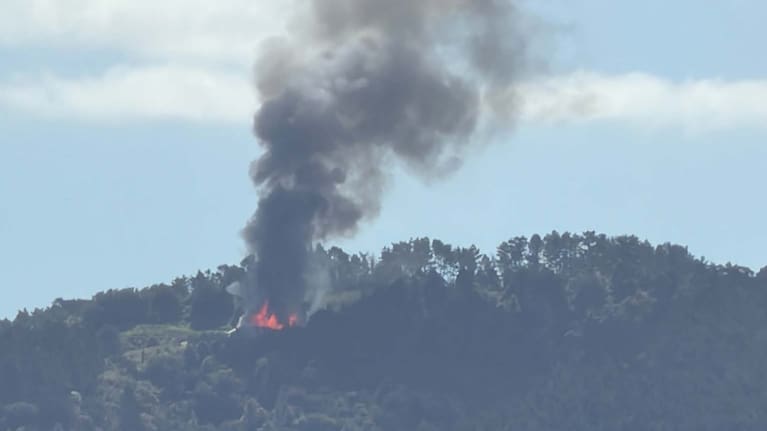 FENZ received the initial call from someone who spotted the blaze from their boat.