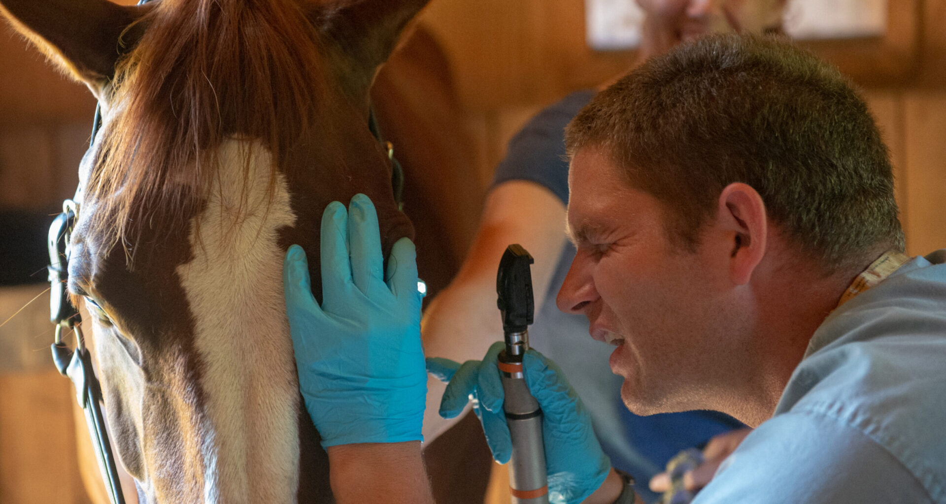 Manuka Honey Inhibits Bacterial Growth Associated With Ulcerative Keratitis in Horses