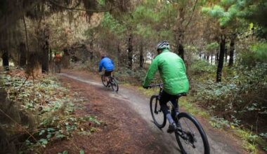 'Frightened and injured': Powered bikes tearing up Christchurch parks
