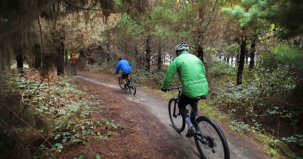 'Frightened and injured': Powered bikes tearing up Christchurch parks