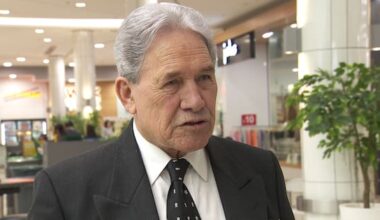 NZ First promises to implement 'shortage-led' skilled work visas