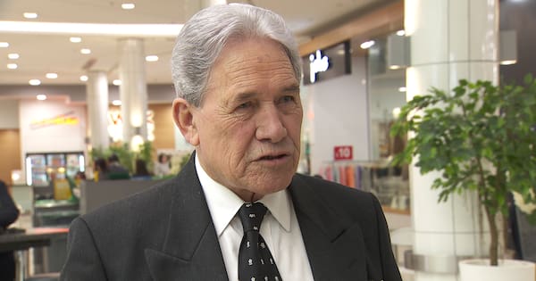 NZ First promises to implement 'shortage-led' skilled work visas