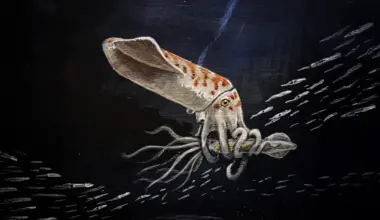 Scientists discover a bizarre Jurassic “squid” unlike anything ever seen