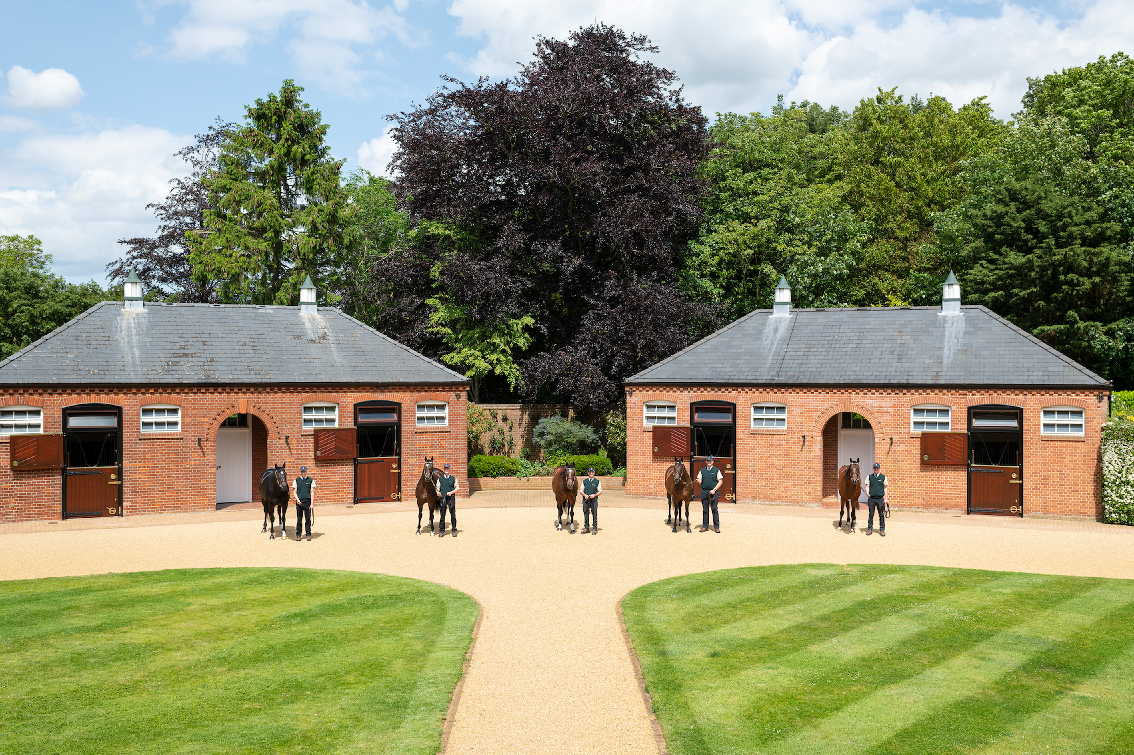 Five stallions standing outside stables at Juddmonte Farms' Banstead Manor Stud.