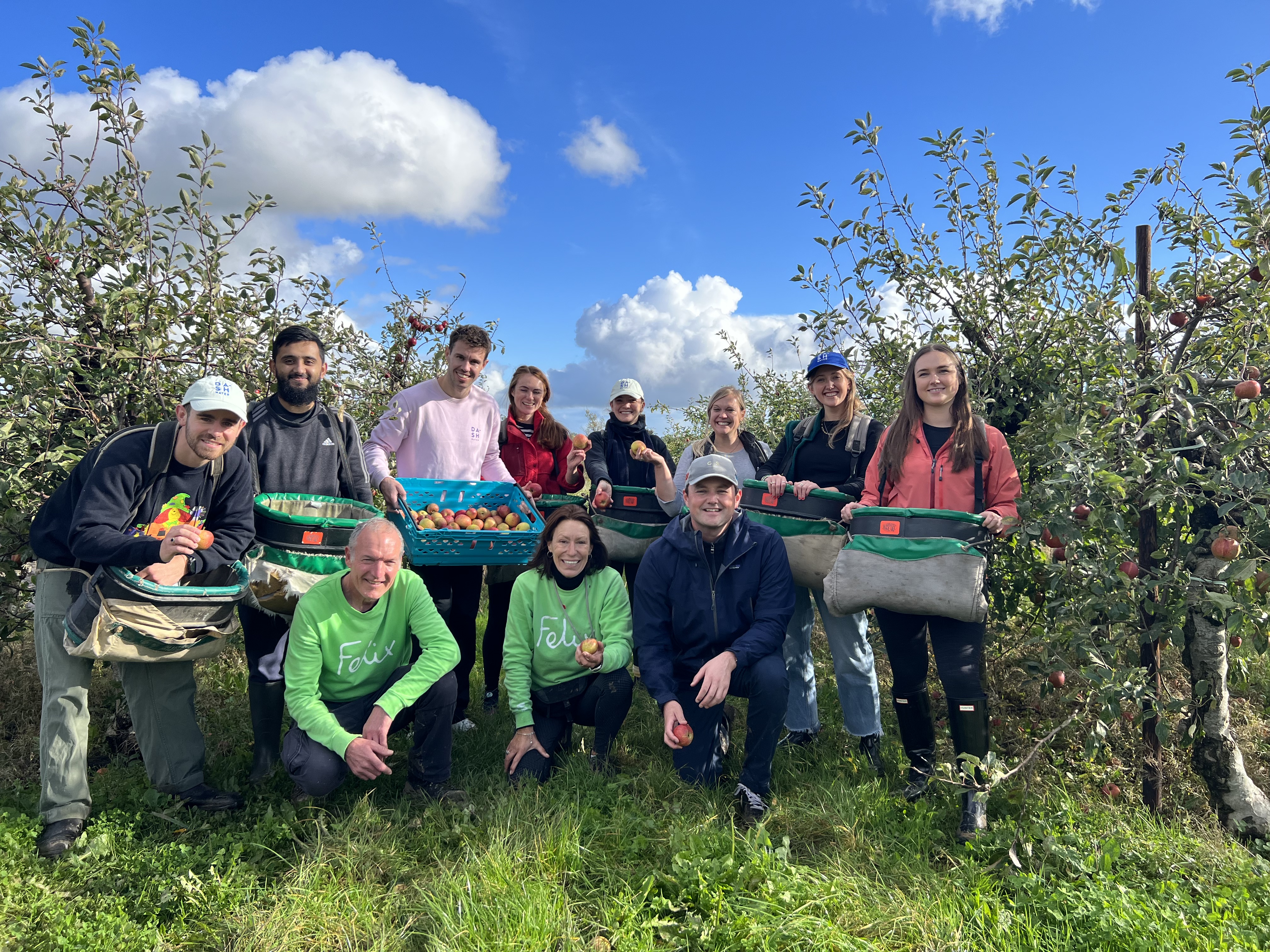 Group of volunteers gleaning apples at Harley Farm.