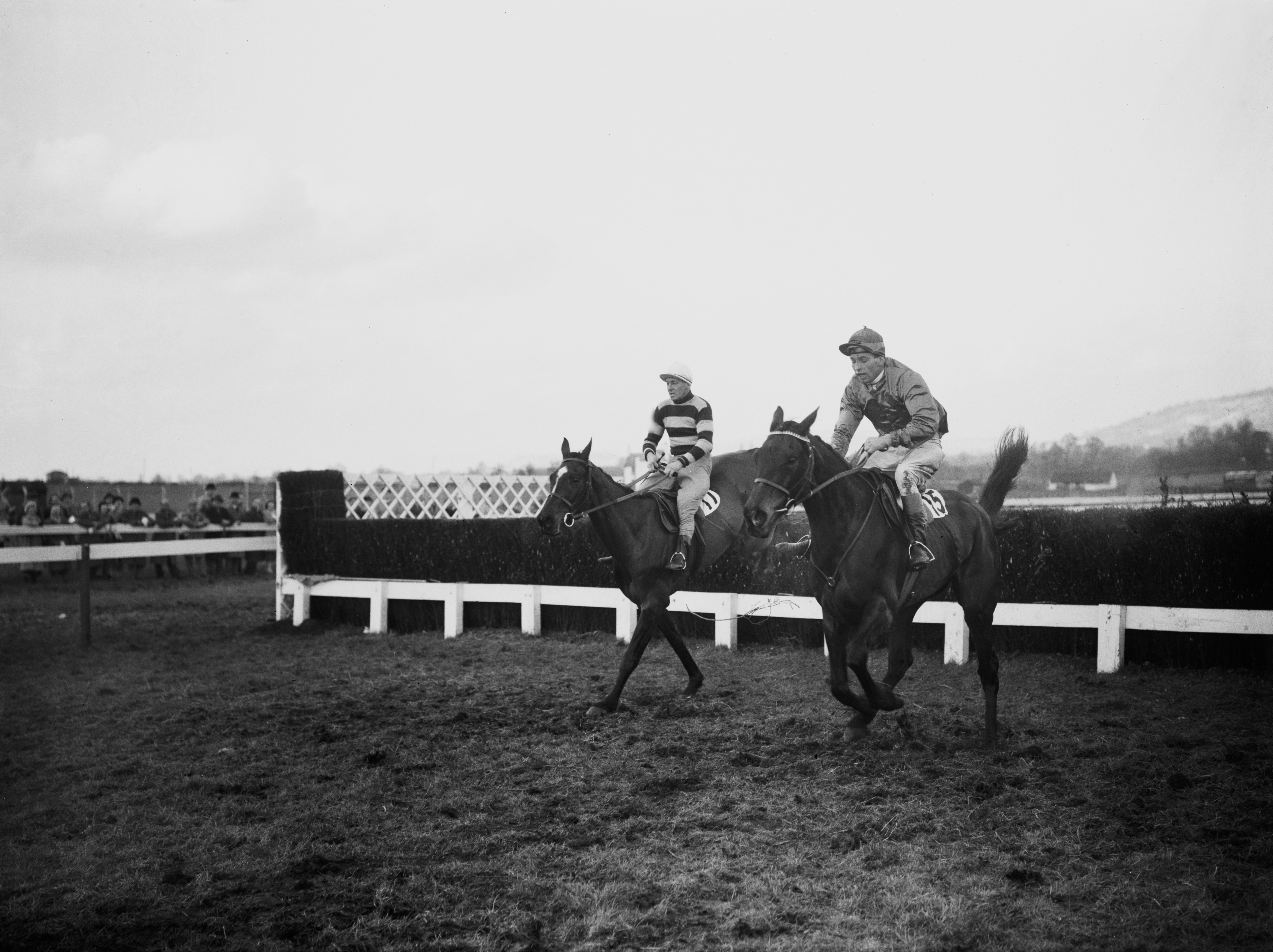 Two racehorses jump a fence at the Cheltenham Gold Cup.