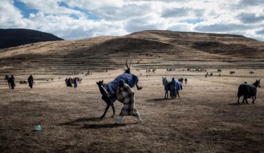 Lesotho's jockeys saddle up for mountain horse racing
