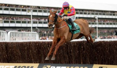 Collins backs Cobden to get tune out of Jazzy Matty