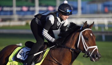 horse racing’s rising star seeks first Saratoga victory