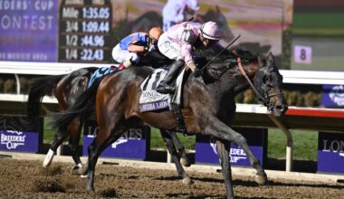 Group of heavyweights ready to throw it down in Whitney