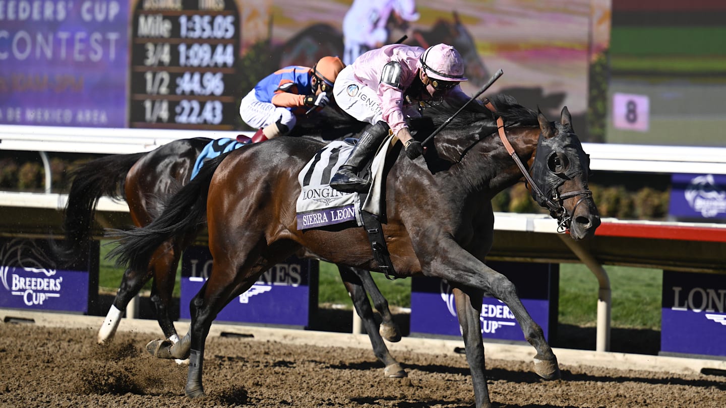 Group of heavyweights ready to throw it down in Whitney