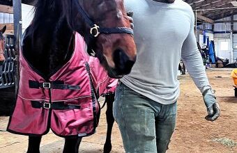 Northfield groom Cordon Harris taking advantage of a second chance – U.S. Trotting News