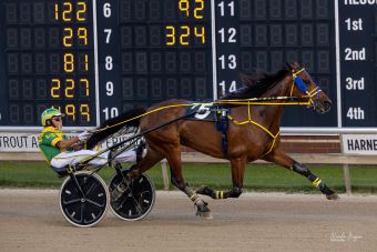All Champy, He’zzz A Wise Sky take Aces co-features – U.S. Trotting News