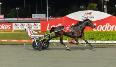 History made as Arcee Phoenix and Leap To Fame light up Albion Park