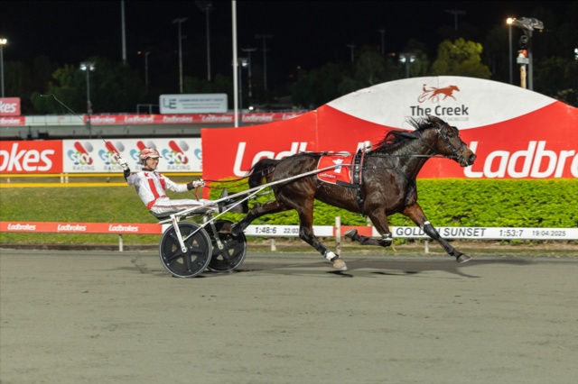 History made as Arcee Phoenix and Leap To Fame light up Albion Park