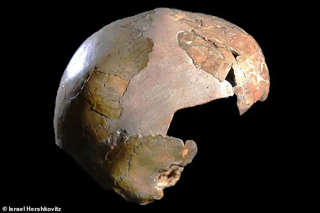 The so-called 'Skhul 1 Child' (pictured) had a pelvis, spine and brow that looked Neanderthal. However, other traits such as the shape of the skull and jaw were distinctly Homo sapiens