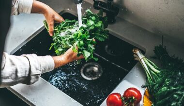 In the UK, bagged salad is typically washed in water containing dilute chlorine, which helps kill off bugs that can cause food poisoning, but outbreaks can still happen