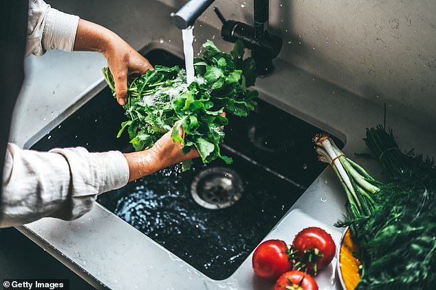 In the UK, bagged salad is typically washed in water containing dilute chlorine, which helps kill off bugs that can cause food poisoning, but outbreaks can still happen