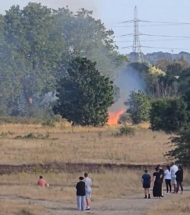 A wildfire response vehicle has been deployed as well as wildfire beaters