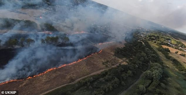 Shrubland, trees, fences and garden furniture are burning behind Clemence Road in Dagenham with locals nearby ordered to leave their homes