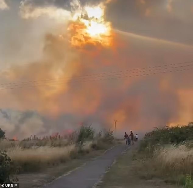 Residents are being evacuated after twenty fire engines and around 125 firefighters were called to an eight-hectare grass fire in London