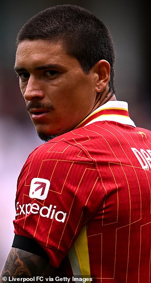 Talks over Darwin Nunez's exit are expected to accelerate, with Napoli and Al Hilal interested