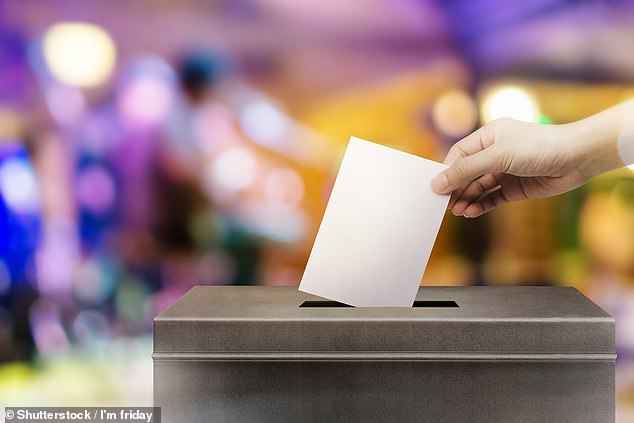 It is estimated another 1.5 million teenagers will be enfranchised for the next election – though Labour has dropped controversial plans to give millions of EU nationals the vote (file image)