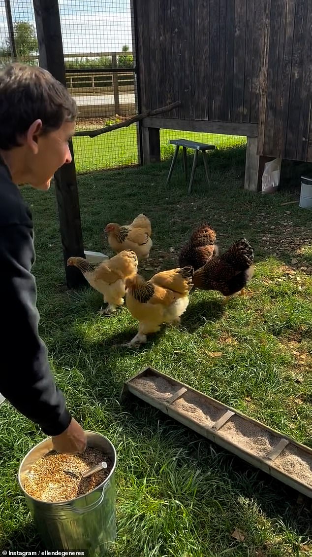 Now living in the UK countryside with her wife Portia de Rossi after they moved to the Cotswolds from California in November. Ellen revealed she's busy looking after her menagerie of farm animals which includes horses, sheep and chickens, but she's also thinking about what to do next