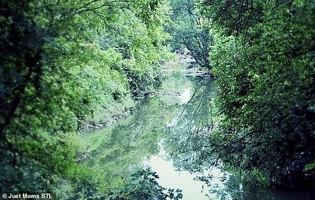 Coldwater Creek (pictured) is labeled as one of the most polluted waterways in the US. It is connected to the Missouri River