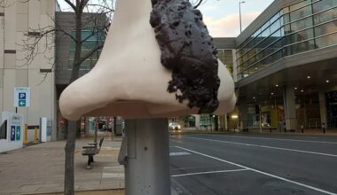 Artwork was erected on a post in Geelong's CBD where Richard Marles serves as an MP