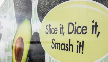 Experts expect no slowdown in UK avocado market | Features