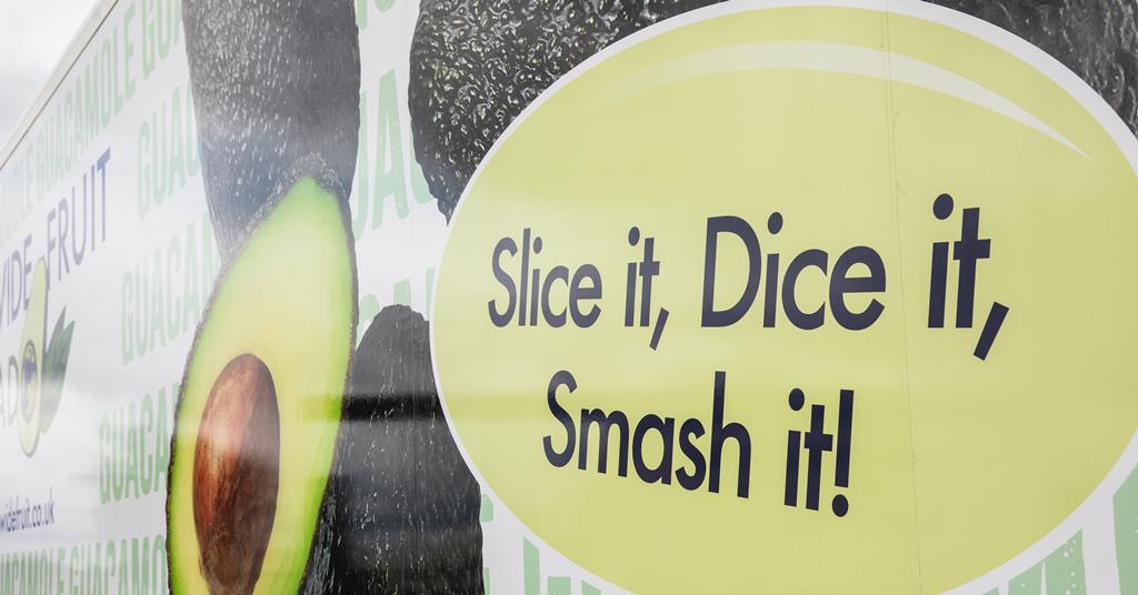 Experts expect no slowdown in UK avocado market | Features