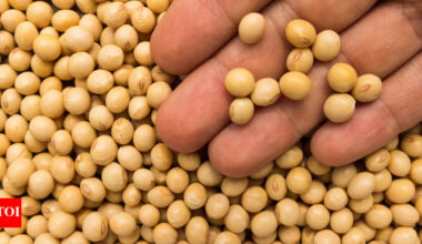 Can eating soybeans cause breast cancer? Leading oncologist spills some facts |