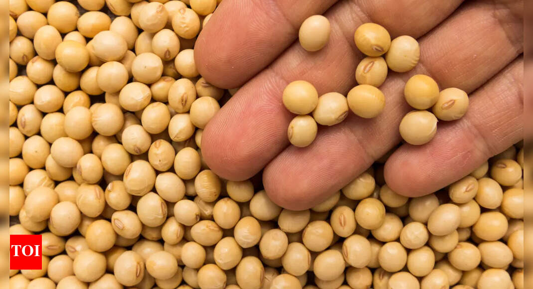 Can eating soybeans cause breast cancer? Leading oncologist spills some facts |