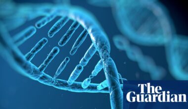 UK scientists to synthesise human genome to learn more about how DNA works | Genetics