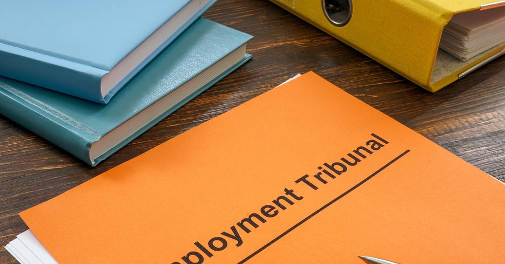 Employment judge sympathises with losing litigant in person in complicated litigation
