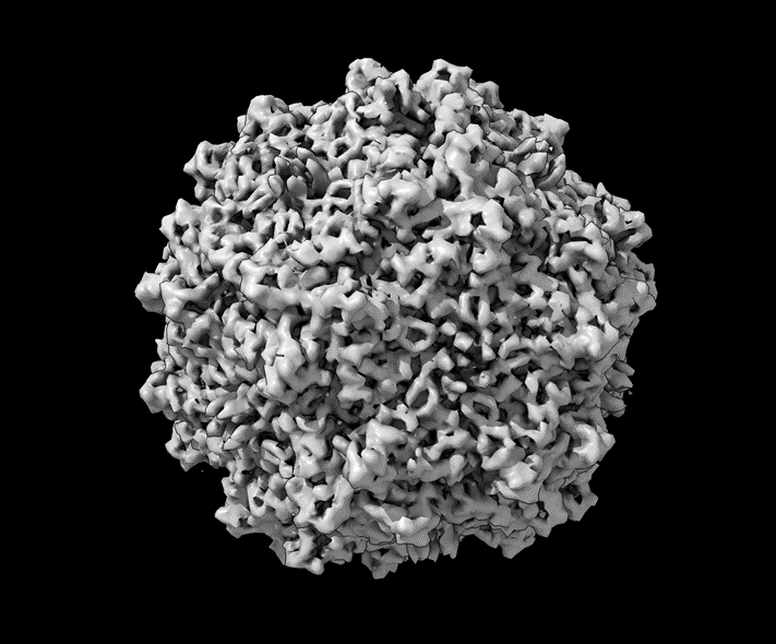 Study Highlights Need for Standardized Measurement Methods in Gene Therapy