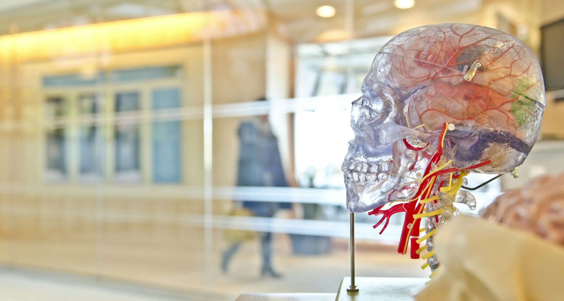 Living Brain Tissue: 80% of Genes Act Unexpectedly