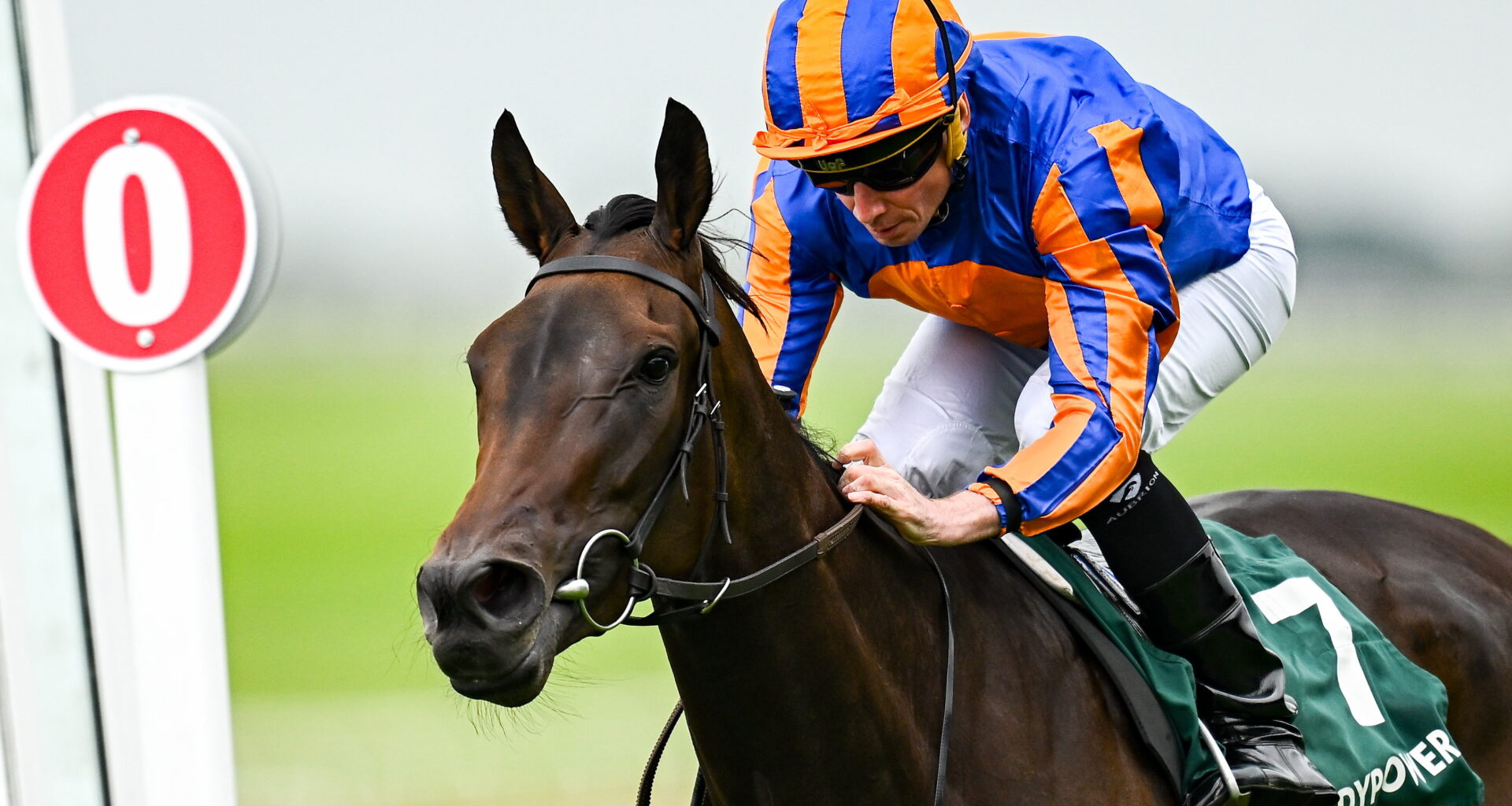 Whirl looks ready to leave her Nassau rivals in a spin