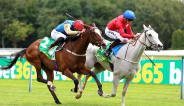 Setback signals the end of Scenic’s racing career