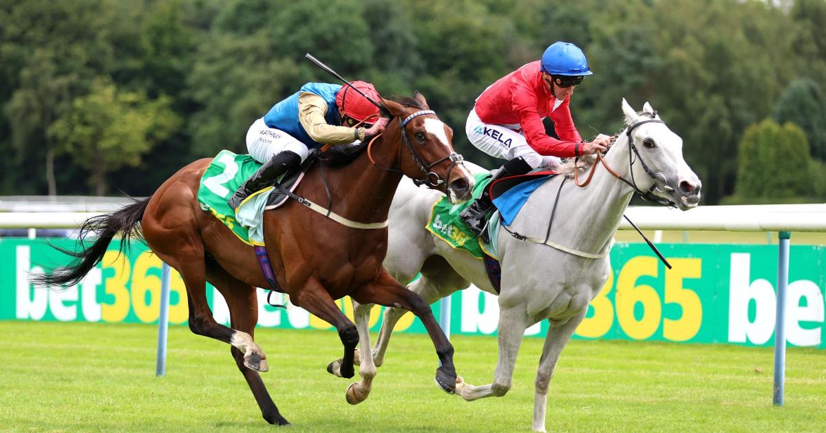 Setback signals the end of Scenic’s racing career