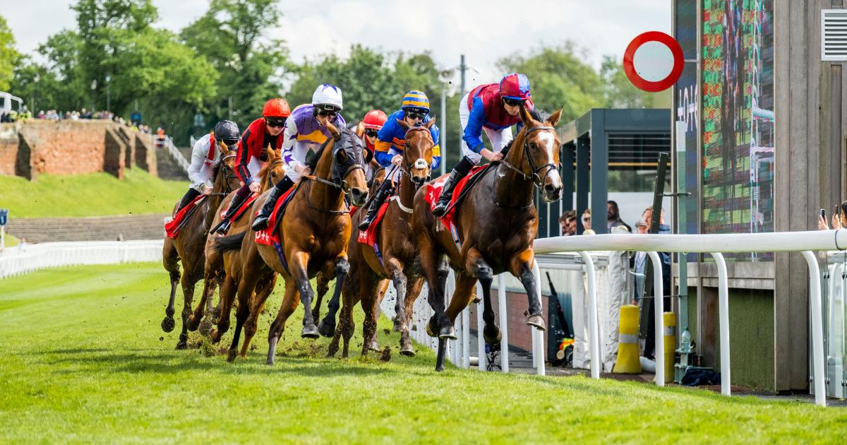 ABBA-themed experience coming to Chester Racecourse in 2025