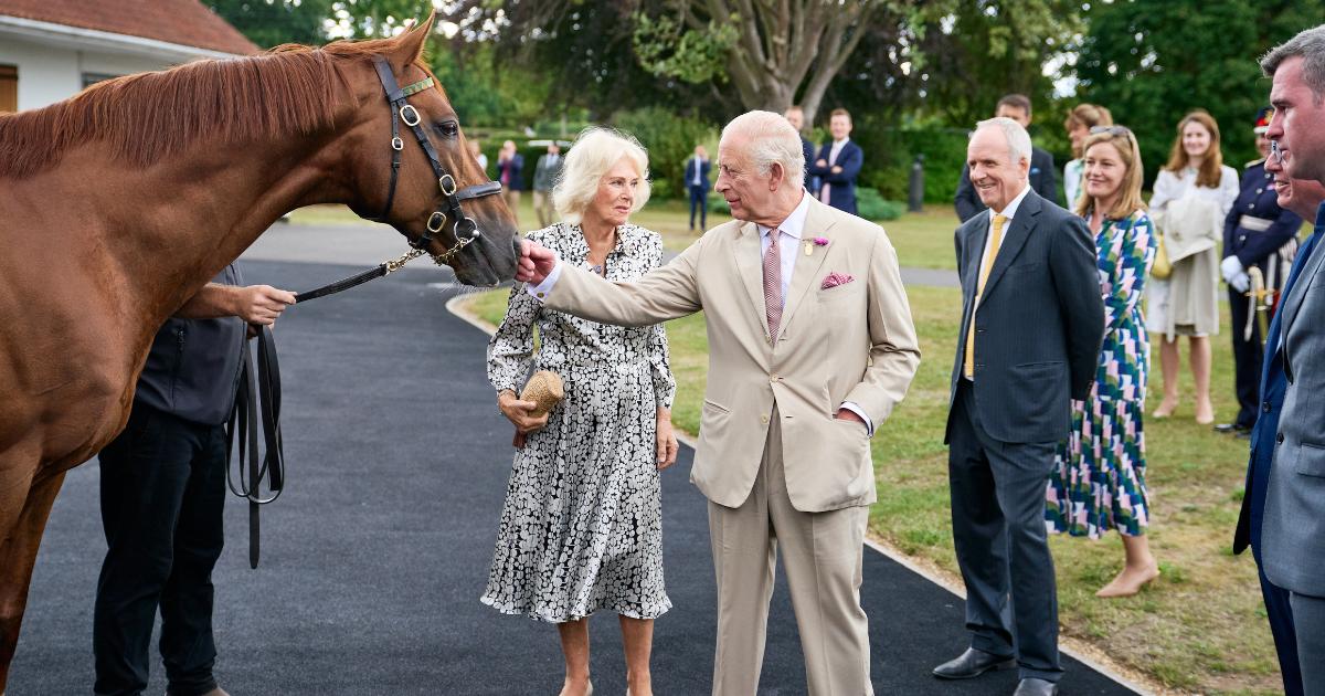 Jockey Club Patrons Scholarship announced after royal visit