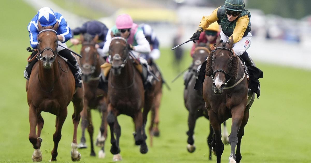 Hollie Doyle shines as Witness Stand lifts Lennox Stakes