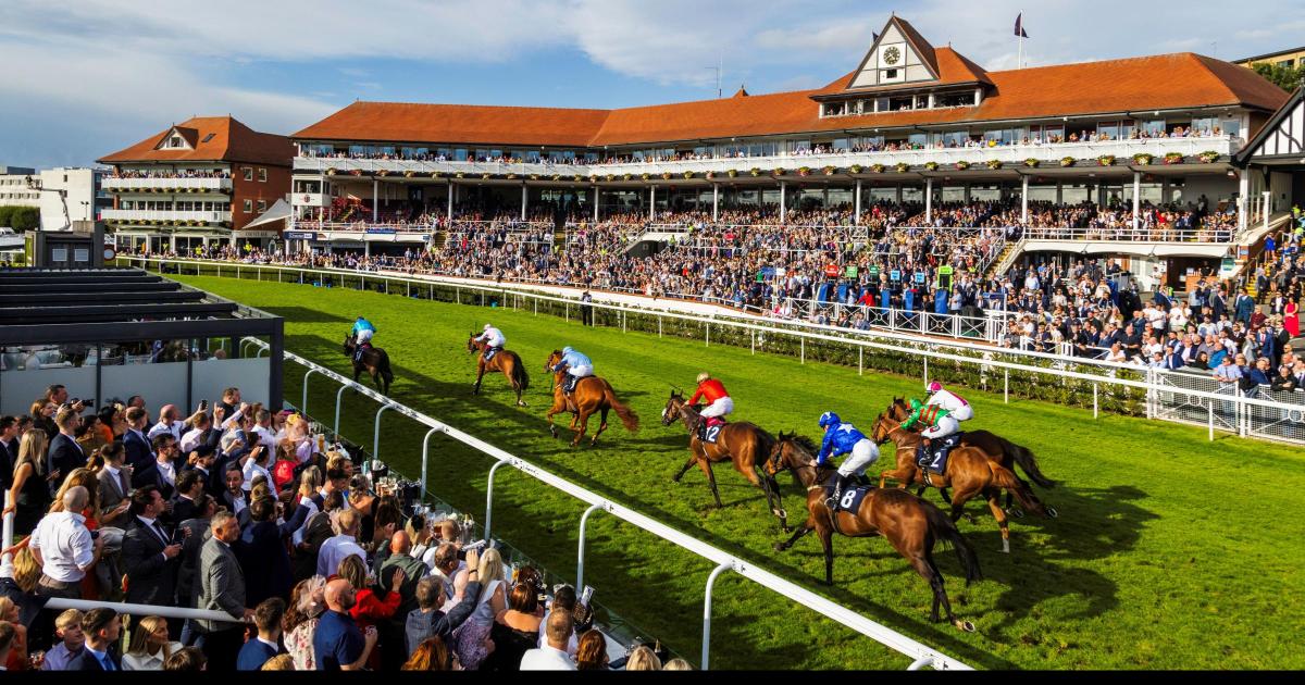 All you need to know about Family Fun Day at Chester races
