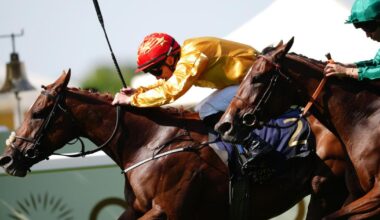 Cercene taking distance test in Nassau Stakes