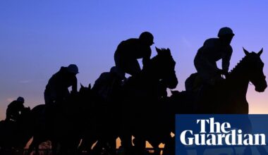 Trainers’ chief backs radical alternative to government’s gambling tax plan | Horse racing